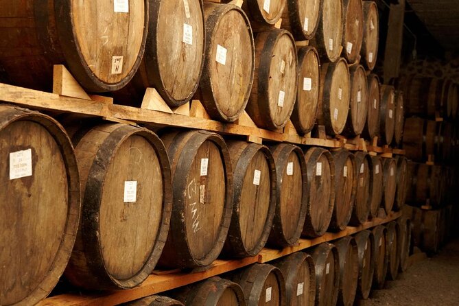 Tequila Day Trip from Guadalajara with Jose Cuervo Express Train - Key details before you book