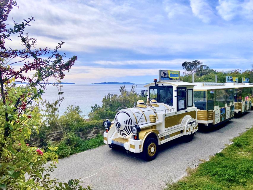 The Little Train of Lavandou's beaches - Who should take the Little Train?