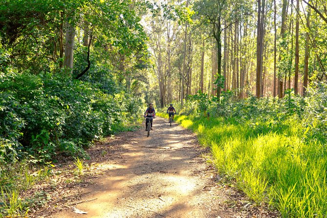 The Train Track Trail Mountain Bike Ride - Private experience - Key details before you book