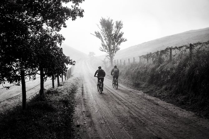 The Train Track Trail Mountain Bike Ride - Private experience - Timing, weather, and practical planning