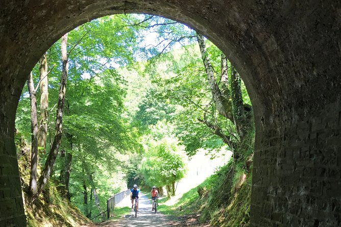 The Train Track Trail Mountain Bike Ride - Private experience - How the guide shapes the ride