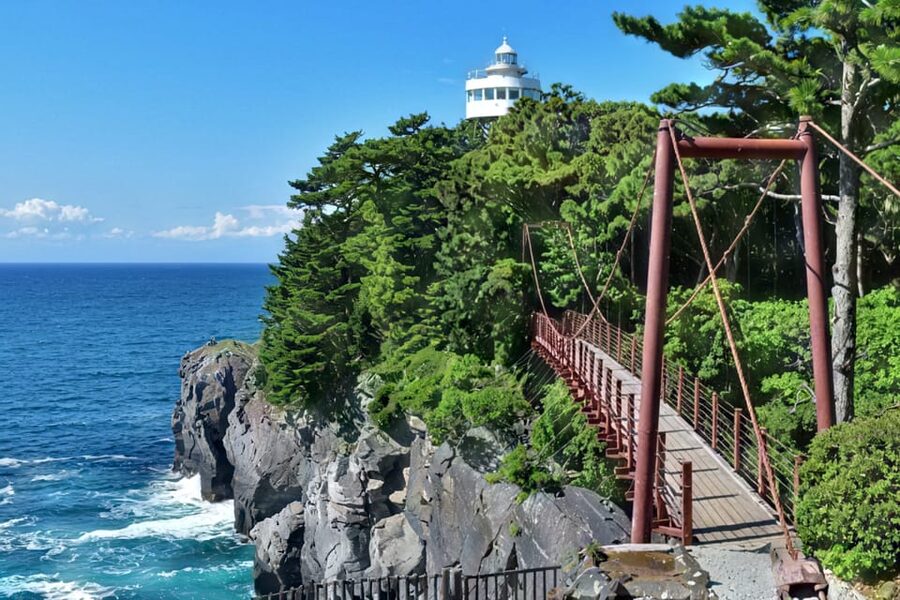 Tokyo:Izu Penisula Train Mt Omuro, Capybara Sightseeing Trip - The 25-minute coastal train ride