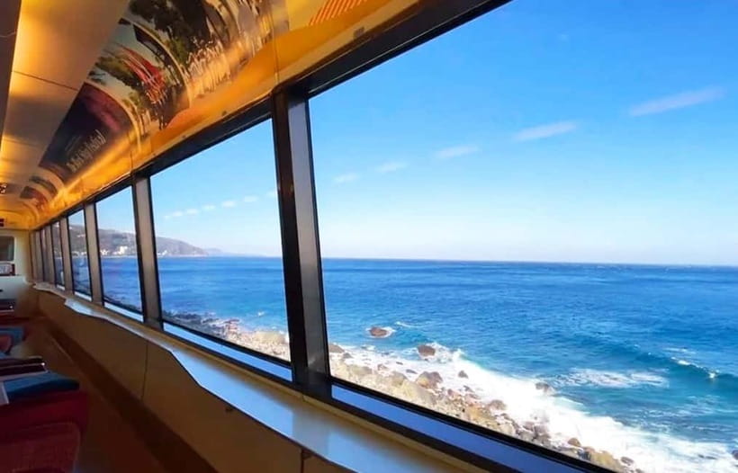 Tokyo: Izu Scenic Oceanview Train, Volcano, Coast Day Trip - Key points at a glance