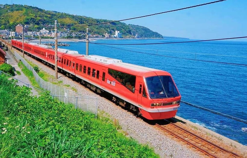 Tokyo: Izu Scenic Oceanview Train, Volcano, Coast Day Trip - Animals and cacti at Izu Cactus & Animal Park