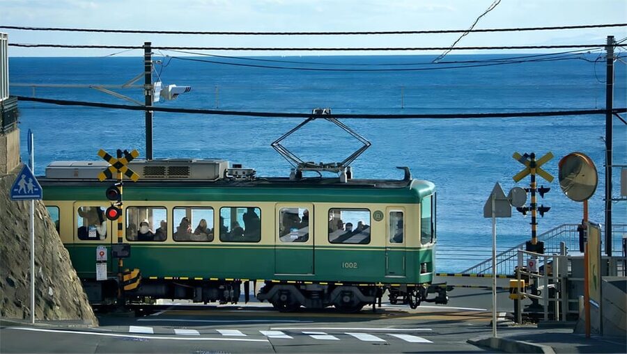 Tokyo: Kamakura & Enoshima Day Tour with Pickup & Train Ride - What the driver-guide actually does