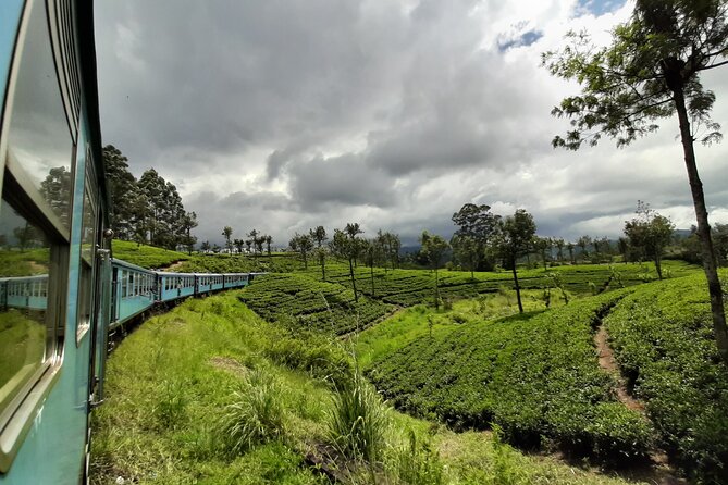 Train from Colombo to Kandy - Key Points Before You Book