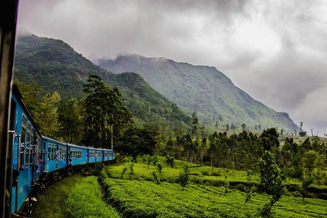 Train from Kandy to Colombo - Price, transfers, and overall value