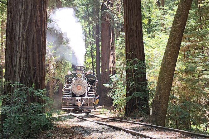 Train Ride Adventure through Mother Natures Giant Redwoods Park - The 7:30 a.m. Powell Street pickup