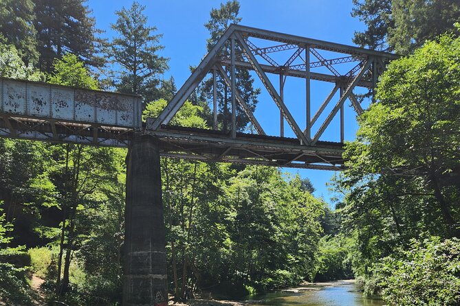 Train Ride Adventure through Mother Natures Giant Redwoods Park - Santa Cruz and the short coastal pause