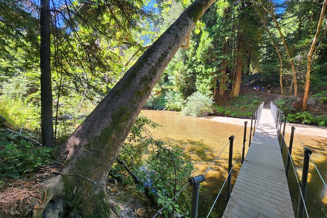 Train Ride Adventure through Mother Natures Giant Redwoods Park - Henry Cowell State Park and the redwood grove
