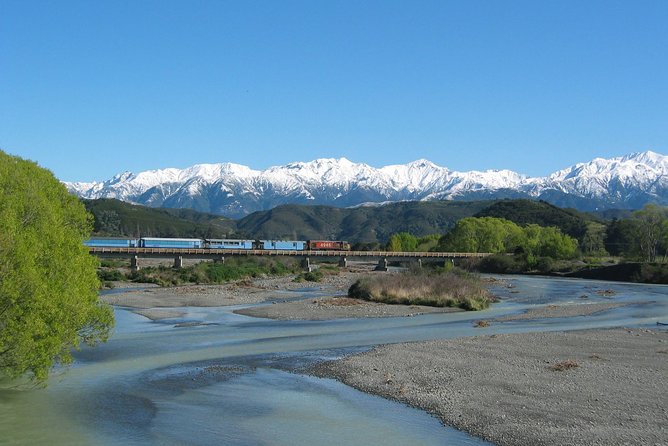 Tranz Alpine Train Tour - Key points to know before booking