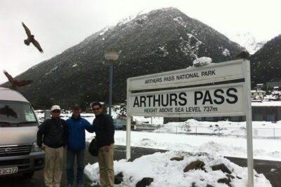 Tranz Alpine Train Tour