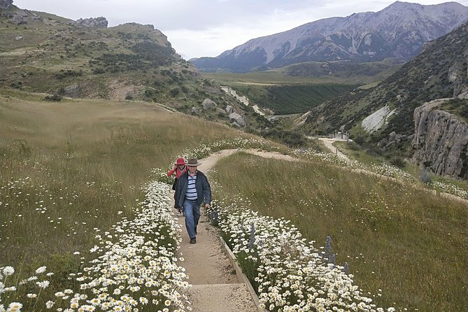Tranz Alpine Train Tour - The homemade picnic and the return loop