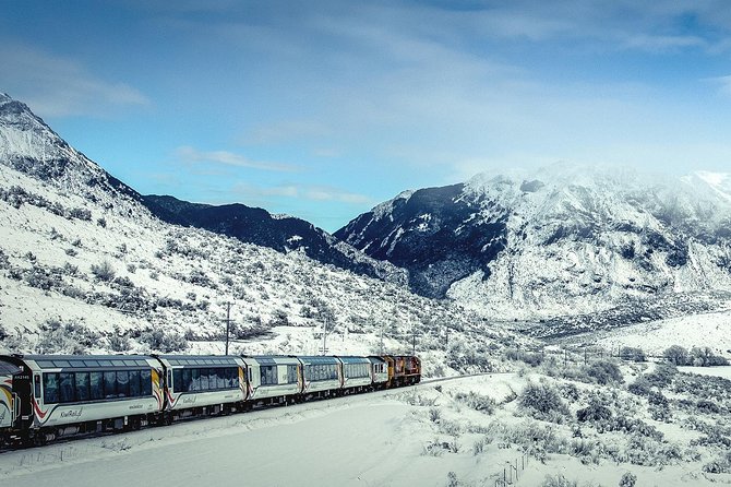 TranzAlpine Train Journey: Christchurch to Greymouth - Descending through beech forest to Greymouth
