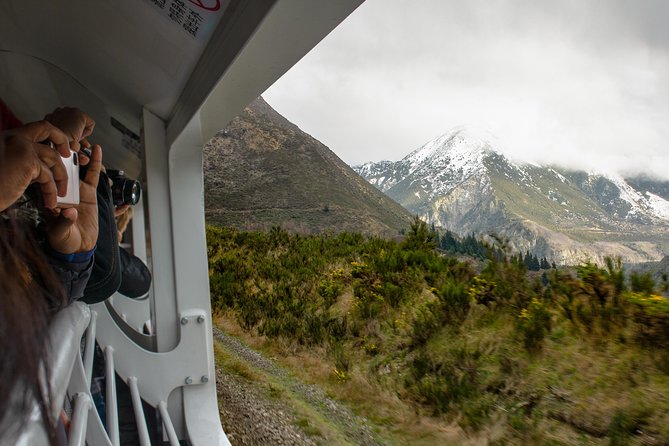 TranzAlpine Train Journey from Greymouth to Christchurch - Is the $151.26 fare good value?