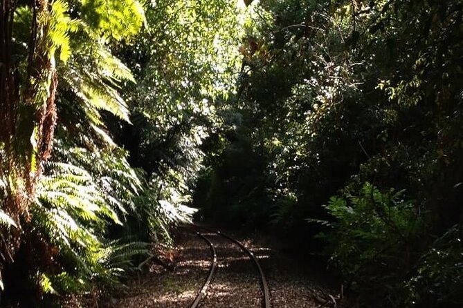 Ultimate self-drive rail car journey - Lake Rotorua, Mount Tarawera, and open views