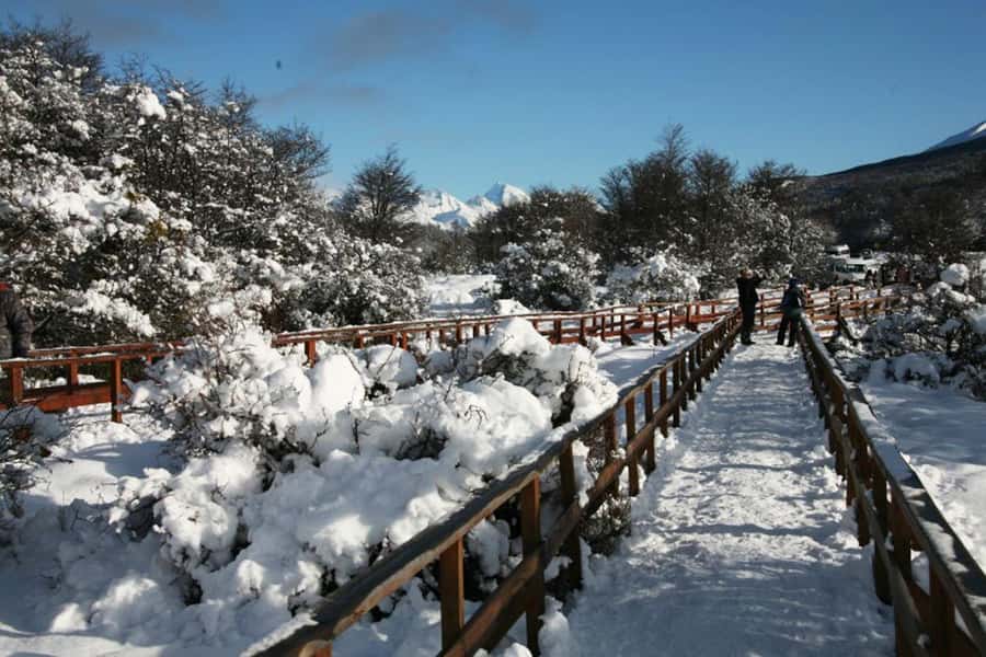 Ushuaia: End of the World Train Ride & Tierra del Fuego Park - What the $140 price really covers
