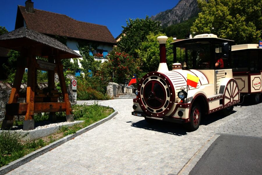Vaduz: City Train Tour - Practical Details Before You Book