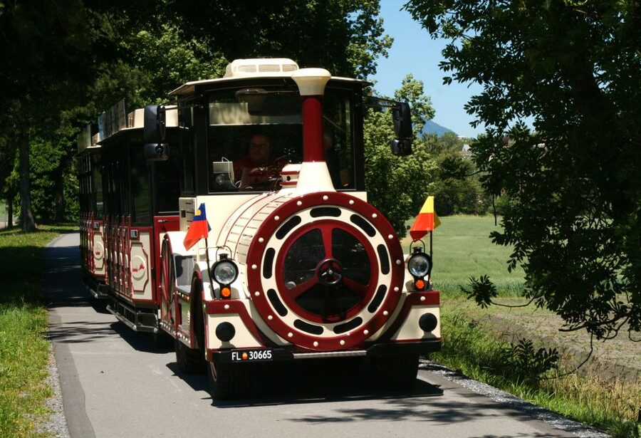 Vaduz: City Train Tour - The Vineyards and the Red House Photo Stop
