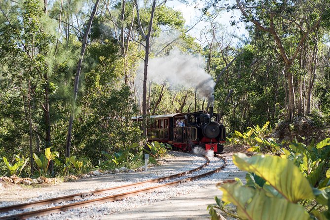 Victorian Steam Railway to Cherry Tree Hill + Great House Tour - Key points to know before you go