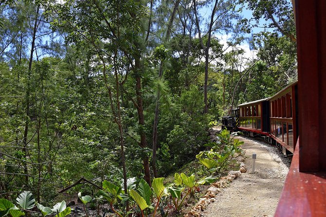 Victorian Steam Railway to Cherry Tree Hill + Great House Tour - The staff can make a short visit feel lively