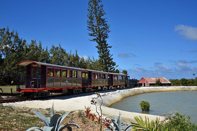 Victorian Steam Railway to Cherry Tree Hill + Great House Tour - Is $35 a fair price?