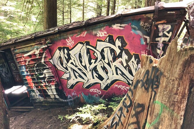 Whistler Train Wreck, Suspension Bridge & Hidden Waterfall Adventure - Walking through the temperate rainforest