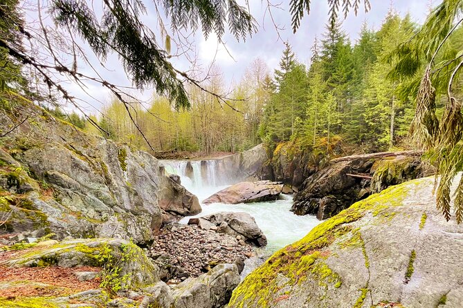 Whistler Train Wreck, Suspension Bridge & Hidden Waterfall Adventure - Seeing the graffiti-covered railway boxcars