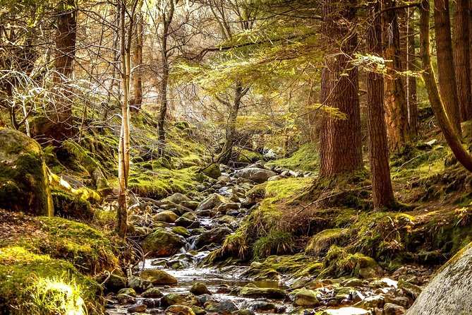 Wicklow Mountains, Avoca and Glendalough Rail Tour from Dublin - Who will enjoy this day most