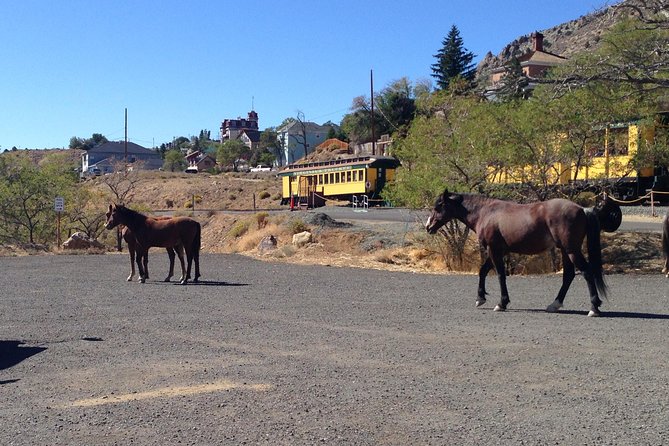 Wild West Day Trip to Virginia City from Tahoe with Train Ride - Three hours around the Comstock Lode