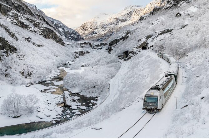 Winter Tour Viking Village, Nærøyfjord Cruise and Flåm Railway - One Long Day, Three Big Norway Experiences
