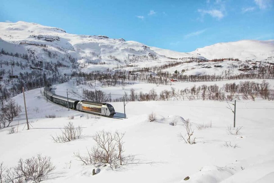 Winter Tour Viking Village, Nærøyfjord Cruise & Flåm Railway - The Flåm Railway climbs to Myrdal