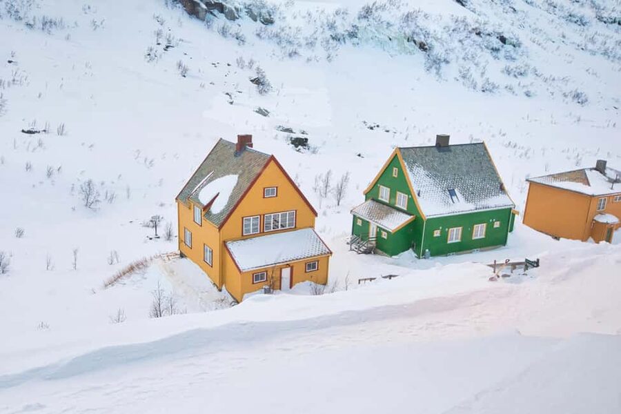 Winter Tour Viking Village, Nærøyfjord Cruise & Flåm Railway - Who will get the most from this day