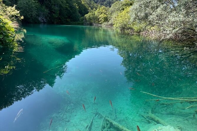 Zagreb: Plitvice Lakes With Secured Tickets, Boat And Train Ride - Why Plitvice works so well as a Zagreb day trip